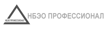 ООО «НБЭО Профессионал» — Экспертная организация
